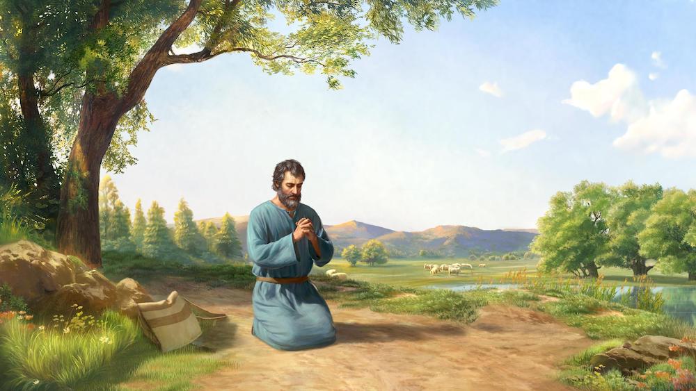 The Experiences of Peter