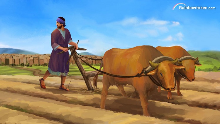 Parable of having put his hand to the plough and looking back