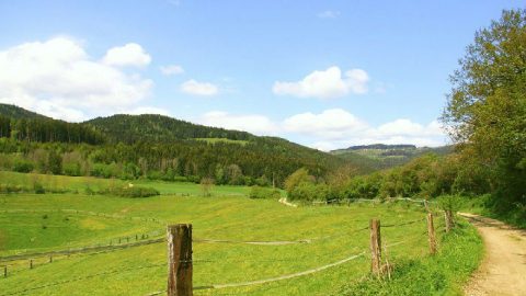 God’s Love Guided Me Out of My Plight