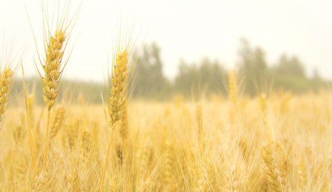 What Does It Mean to Do the Will of the Heavenly Father?