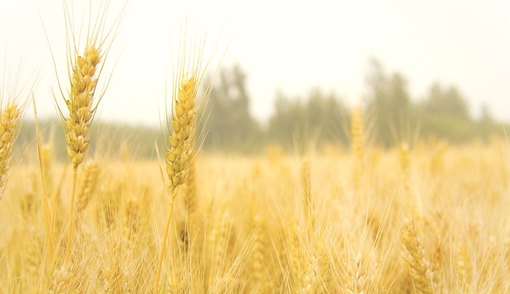 What Does It Mean to Do the Will of the Heavenly Father?