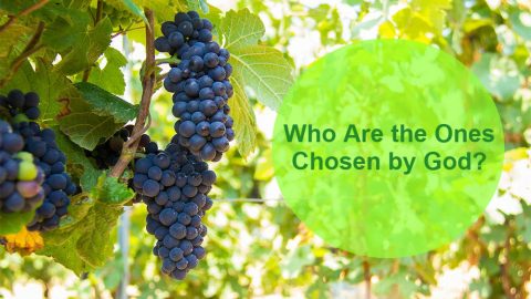 Who Are the Ones Chosen by God?