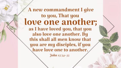 6 Bible Verses Teach Us to Help and Love Brothers and Sisters in the Lord in Spirit