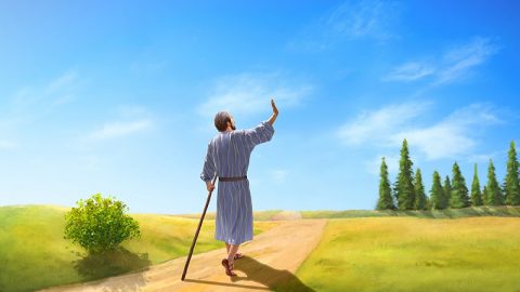 Jonah 1-2 - Jonah Flees From the Lord