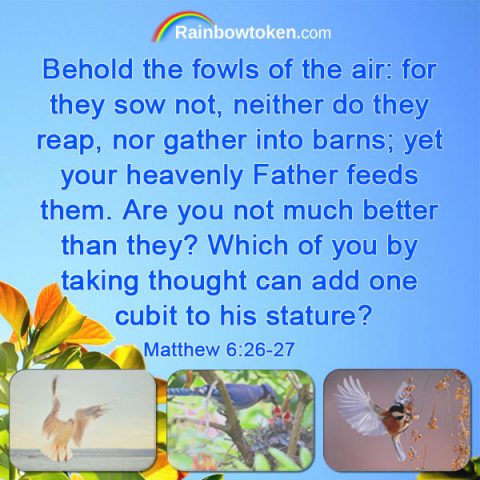 Bible Verses About Stress and Worry—Building Faith in God Is Very Important