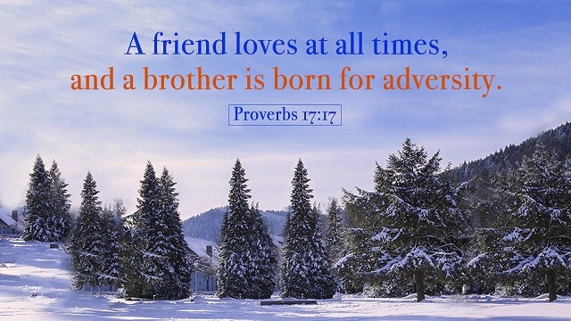 Bible Verses About Friendship - Friendship Is a Gift From God