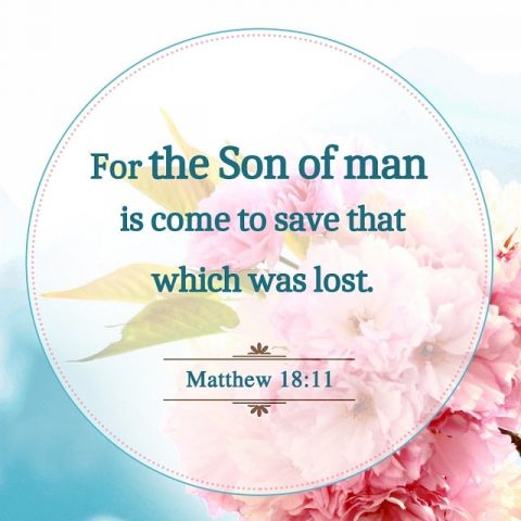 For the Son of man is come to save that which was lost. - Matthew 18-11