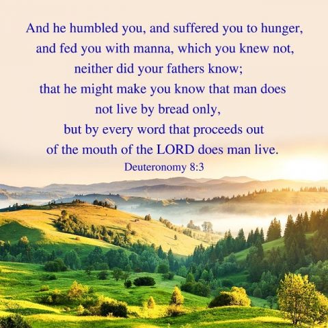 Man Does Not Live by Bread Alone - Deuteronomy 8-3