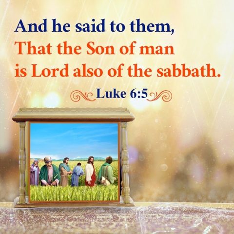 Son of man is Lord also of the sabbath- Luke 6-5