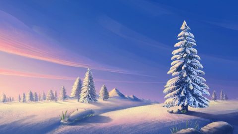 Bible Verses About Faith,