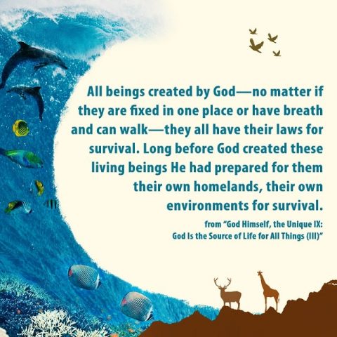All beings created by God