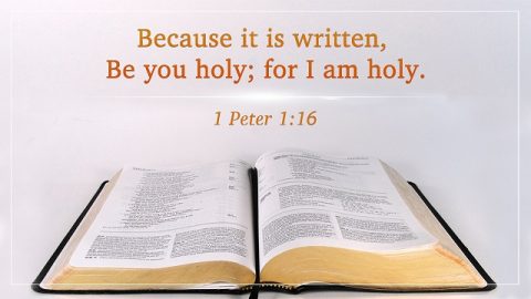 Bible Verses About Holiness, Without Holiness No Man Shall See the Lord
