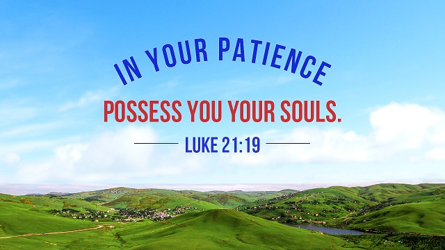 Bible Verses About Patience - God's Plan For Us