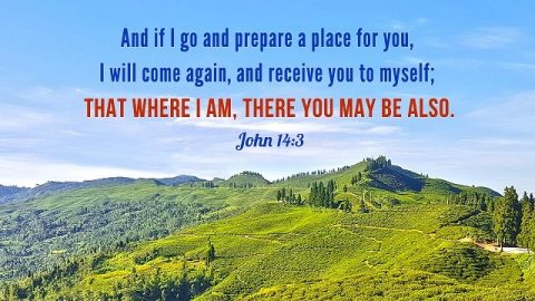 Bible Verses About Rapture - Explore the True Meaning of Rapture