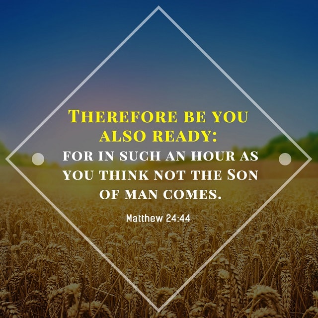 Matthew 5:7 - Blessed Are the Merciful - Bible Quote