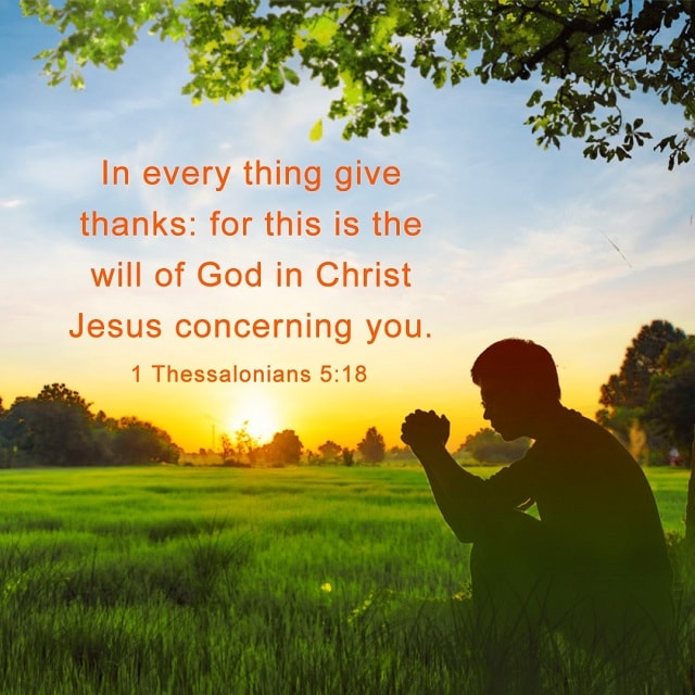 1 Thessalonians 518 In Every Thing Give Thanks Bible