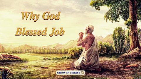 Job Pray to God