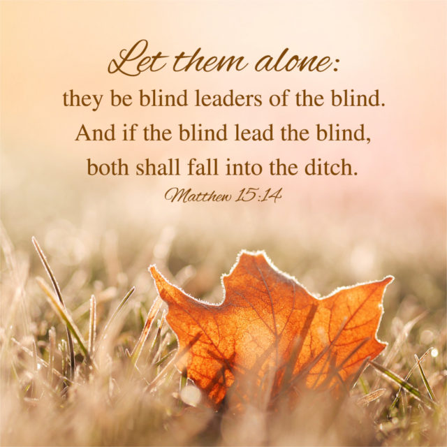 Let them alone they be blind leaders of the blind