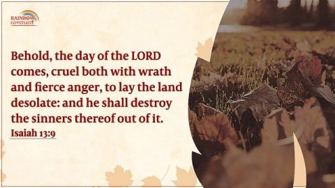 Bible Prophecy About Great Tribulation