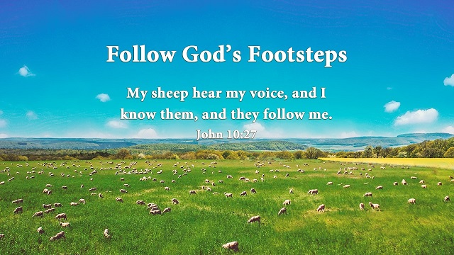 John 10:27 - My sheep hear my voice - bible verse of the day