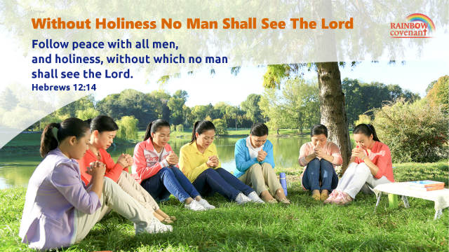 without holiness no man shall see the Lord Hebrews 12-14