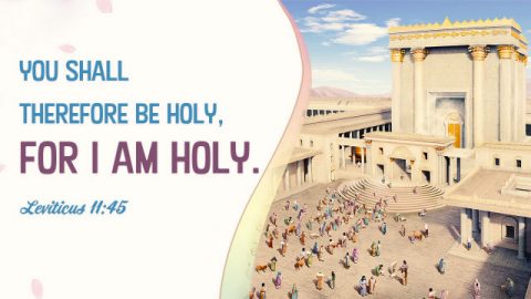 The Bible verse you shall therefore be holy for I am holy