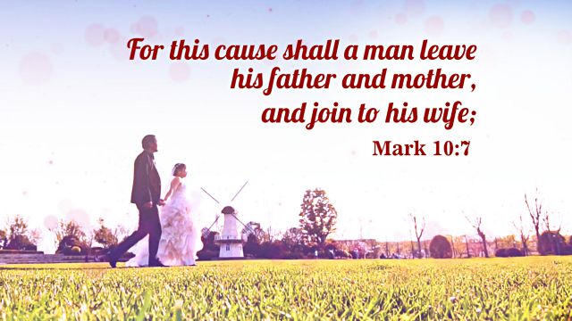 Bible Quotes Mark 10-7