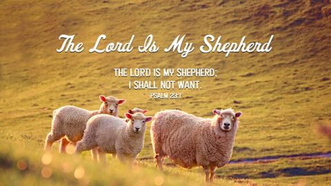Bible Quotes Psalm 23-1