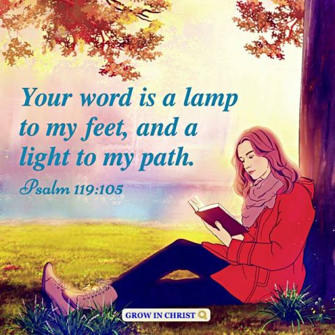 Bible Quote Psalm 119-105