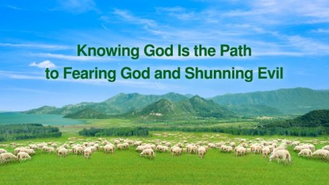 fearing God and shunning evil