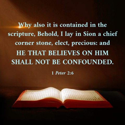 Bible Quote - 1 Peter 2-6