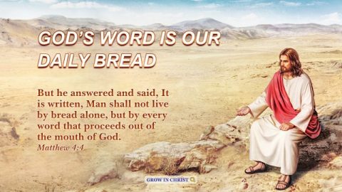 Man shall not live by bread alone