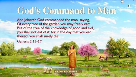 Genesis 2:16–17 God’s Command to Man
