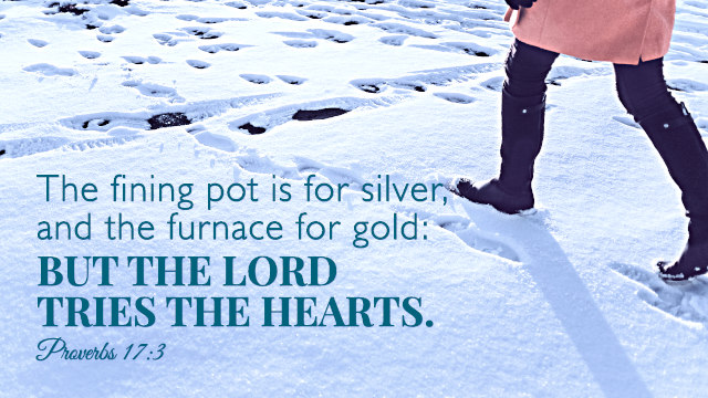Proverbs 17:3