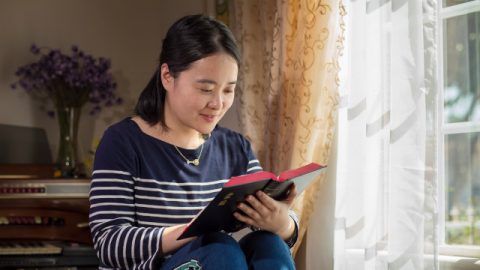 Daily devotional Bible