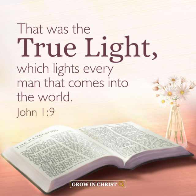 John 1 9 The True Light Illuminates Every Man Of The World Bible Quote john-1-9-the-true-light-illuminates-every-man-of-the-world-bible-quote