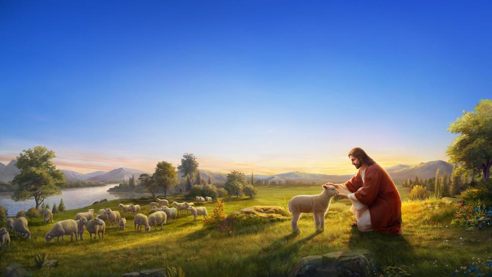 Parable of the Lost Sheep
