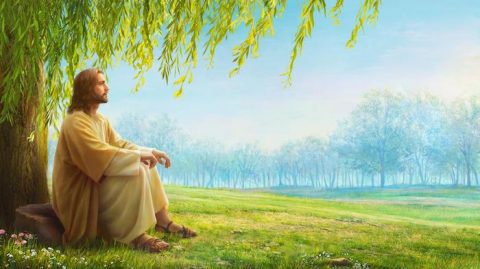 The Lord Jesus Himself prophesied that God would incarnate in the last days and appear as the Son of man to work