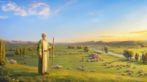 Job After His Trials