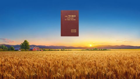 the Savior save mankind